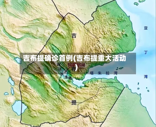 吉布提确诊首例(吉布提重大活动)-第3张图片