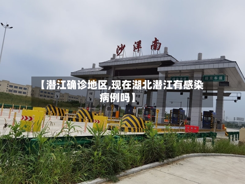 【潜江确诊地区,现在湖北潜江有感染病例吗】-第3张图片
