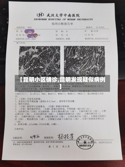 【昆明小区确诊,昆明发现疑似病例】-第3张图片