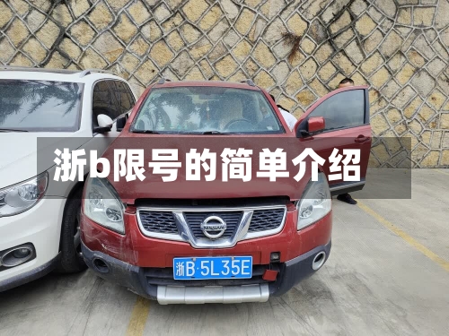 浙b限号的简单介绍