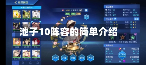 池子10阵容的简单介绍