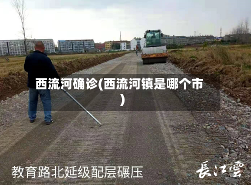 西流河确诊(西流河镇是哪个市)