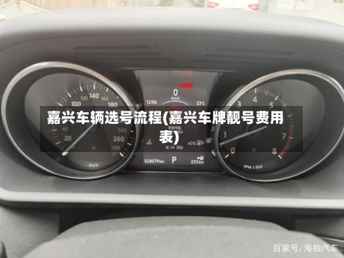 嘉兴车辆选号流程(嘉兴车牌靓号费用表)-第2张图片