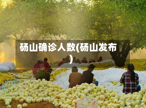 砀山确诊人数(砀山发布)