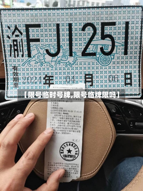 【限号临时号牌,限号临牌限吗】-第2张图片