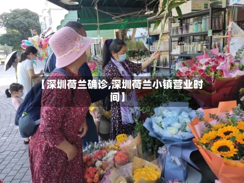 【深圳荷兰确诊,深圳荷兰小镇营业时间】-第2张图片