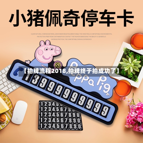 【拍牌流程2018,拍牌终于拍成功了】-第2张图片