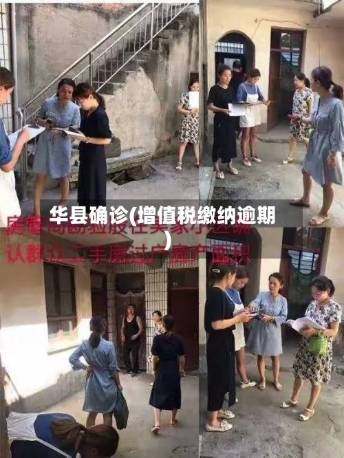 华县确诊(增值税缴纳逾期)