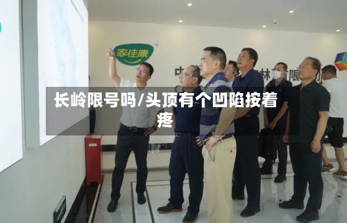 长岭限号吗/头顶有个凹陷按着疼
