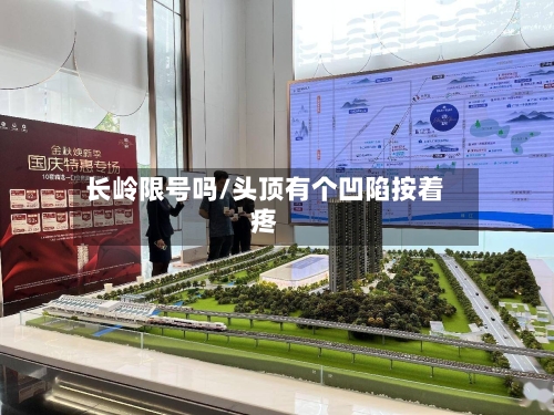 长岭限号吗/头顶有个凹陷按着疼-第2张图片
