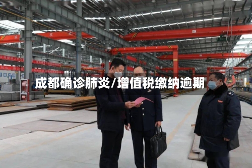 成都确诊肺炎/增值税缴纳逾期