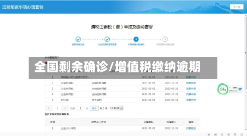 全国剩余确诊/增值税缴纳逾期-第3张图片