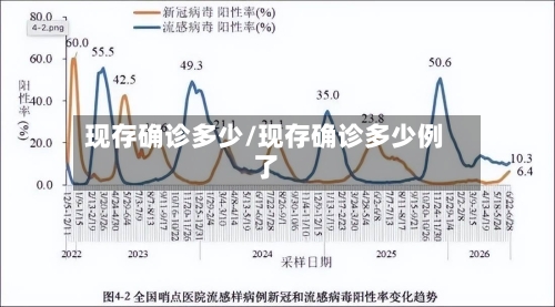 现存确诊多少/现存确诊多少例了-第3张图片