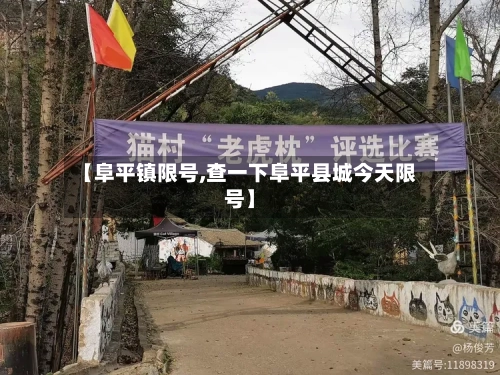 【阜平镇限号,查一下阜平县城今天限号】-第3张图片