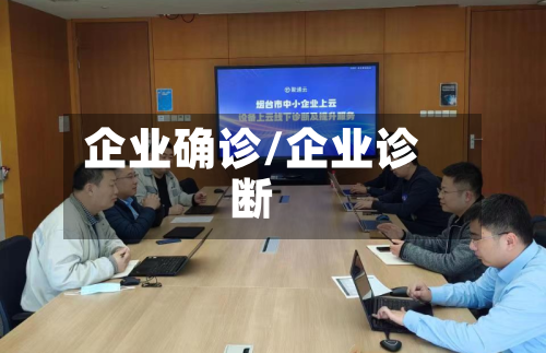 企业确诊/企业诊断
