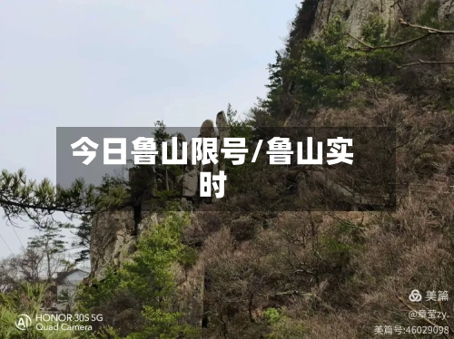今日鲁山限号/鲁山实时-第2张图片