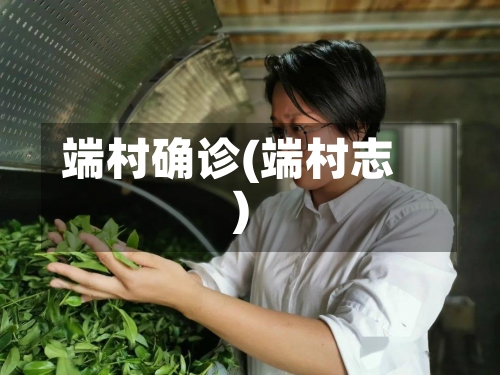 端村确诊(端村志)