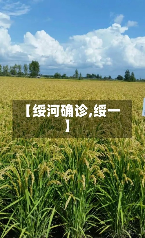 【绥河确诊,绥一】