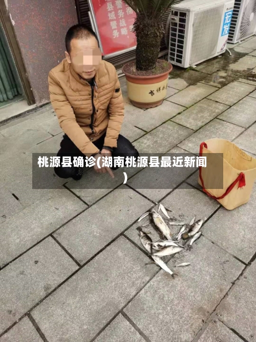 桃源县确诊(湖南桃源县最近新闻)