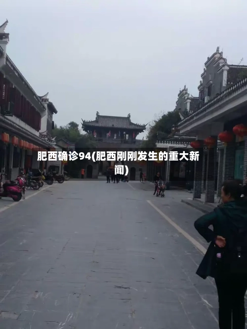肥西确诊94(肥西刚刚发生的重大新闻)