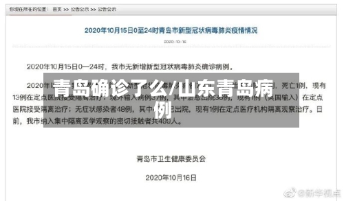 青岛确诊了么/山东青岛病例-第3张图片
