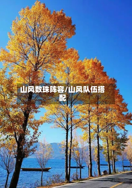 山风数珠阵容/山风队伍搭配