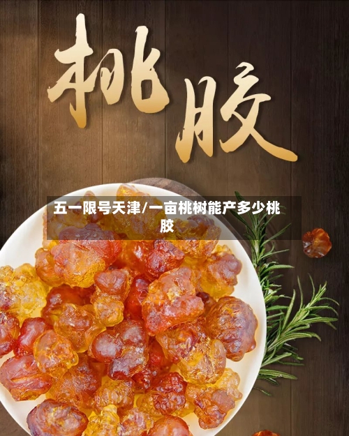 五一限号天津/一亩桃树能产多少桃胶-第2张图片