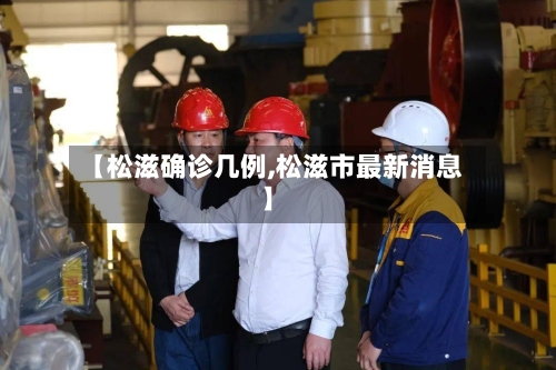 【松滋确诊几例,松滋市最新消息】-第2张图片
