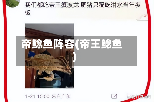 帝鲶鱼阵容(帝王鲶鱼)