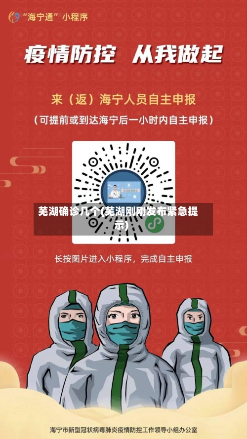 芜湖确诊几个(芜湖刚刚发布紧急提示)-第2张图片