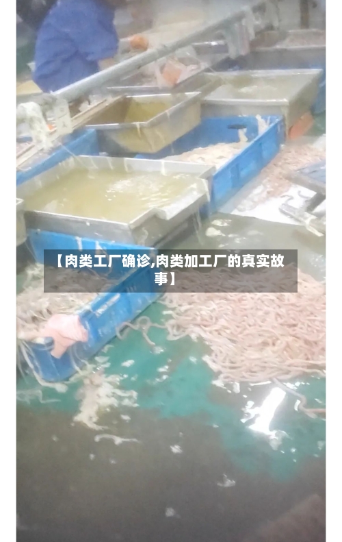 【肉类工厂确诊,肉类加工厂的真实故事】