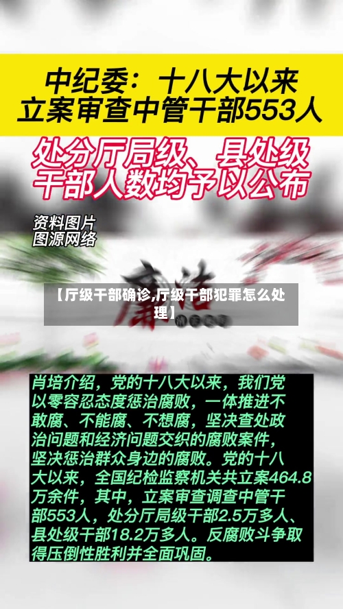 【厅级干部确诊,厅级干部犯罪怎么处理】-第3张图片