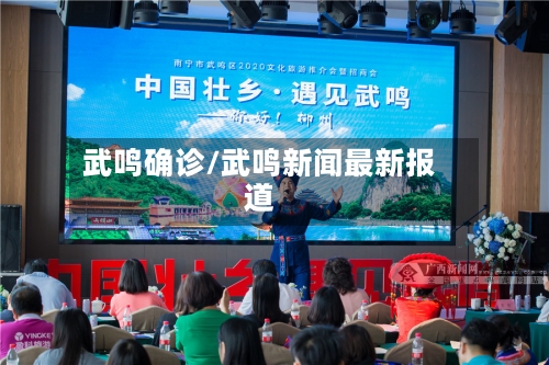 武鸣确诊/武鸣新闻最新报道-第2张图片