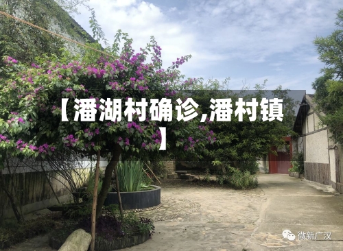 【潘湖村确诊,潘村镇】-第2张图片