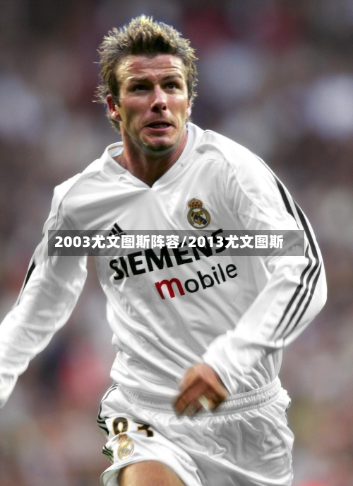 2003尤文图斯阵容/2013尤文图斯-第3张图片