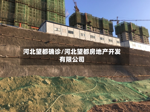 河北望都确诊/河北望都房地产开发有限公司
