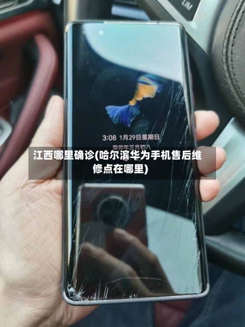江西哪里确诊(哈尔滨华为手机售后维修点在哪里)