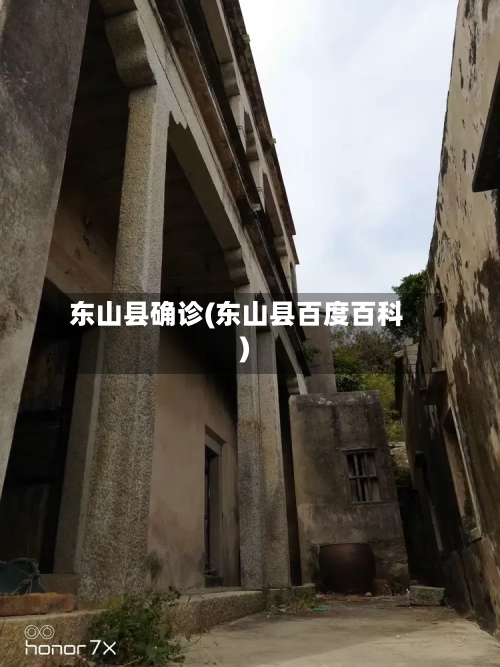东山县确诊(东山县百度百科)-第2张图片
