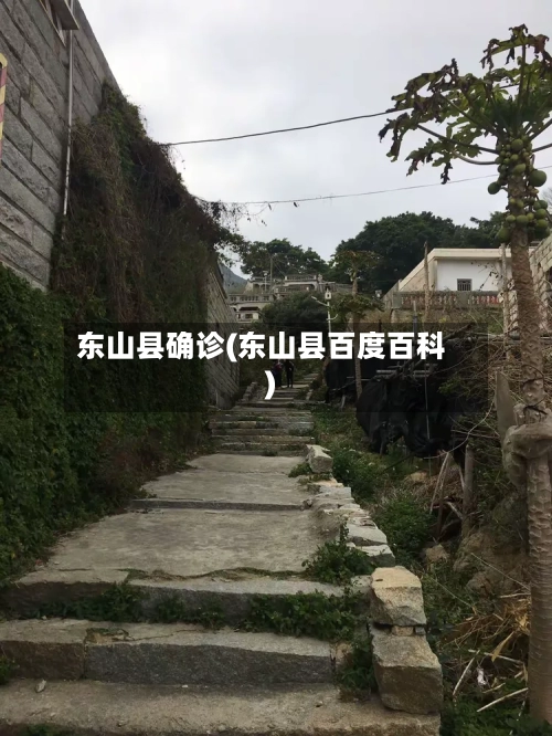 东山县确诊(东山县百度百科)