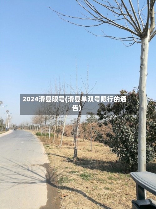 2024滑县限号(滑县单双号限行的通告)-第2张图片