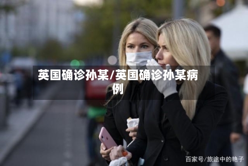 英国确诊孙某/英国确诊孙某病例