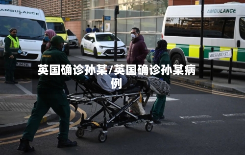英国确诊孙某/英国确诊孙某病例-第2张图片