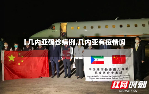 【几内亚确诊病例,几内亚有疫情吗】