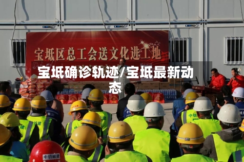 宝坻确诊轨迹/宝坻最新动态-第2张图片